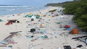 Henderson Island Picture