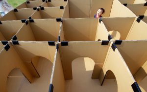 Cardboard box maze