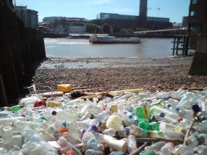 Thames litter